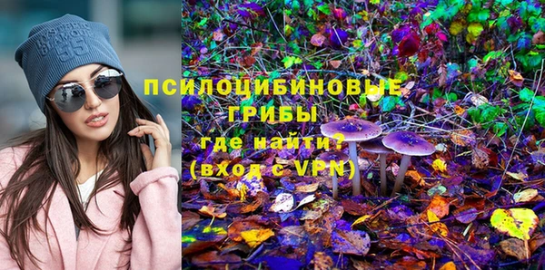 тгк Елизово