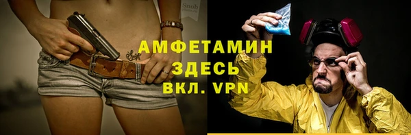 эйфоретик Ельня