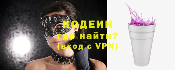 эйфоретик Ельня