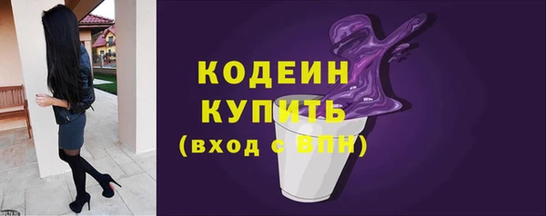 эйфоретик Ельня