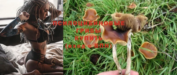 тгк Елизово
