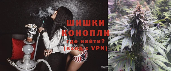 эйфоретик Ельня