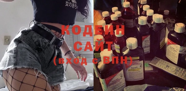 эйфоретик Ельня