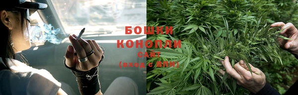 тгк Елизово