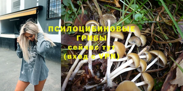 тгк Елизово