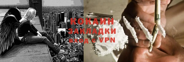тгк Елизово
